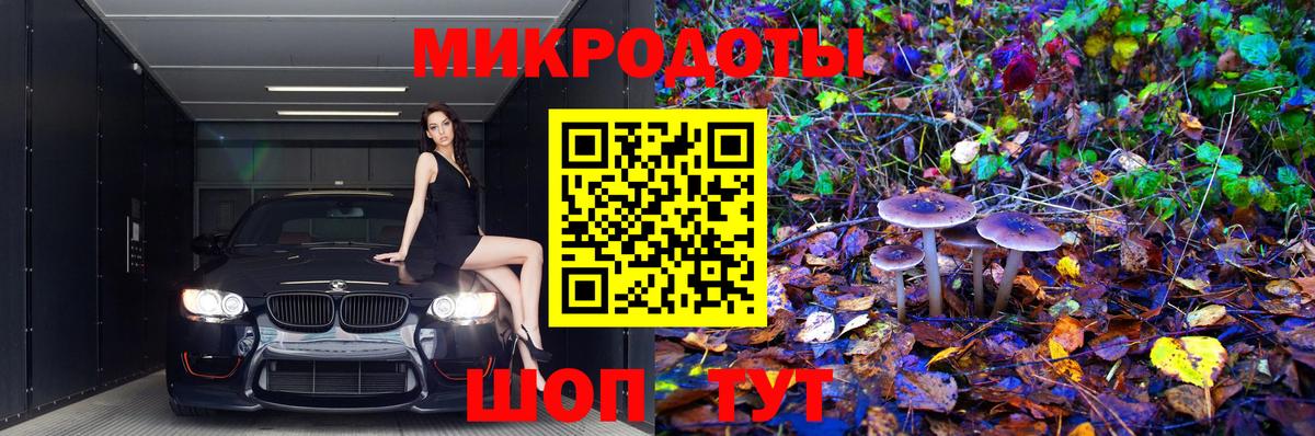как найти закладки  Вход с VPN  Волхов  Псилоцибиновые грибы ЛСД  Галлюциногенные грибы GOLDEN TEACHER 