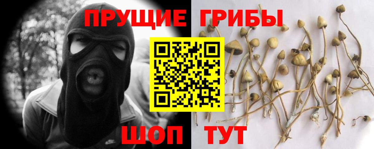 Псилоцибиновые грибы GOLDEN TEACHER Волхов